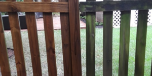 Fence Pressure Washing Arlington, VA